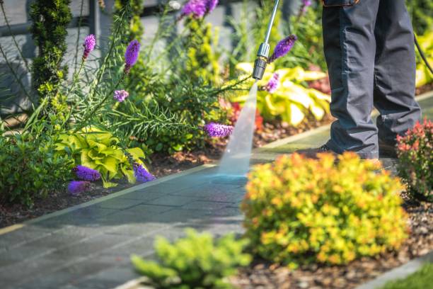 Best Pool Deck Cleaning in Perryopolis, PA